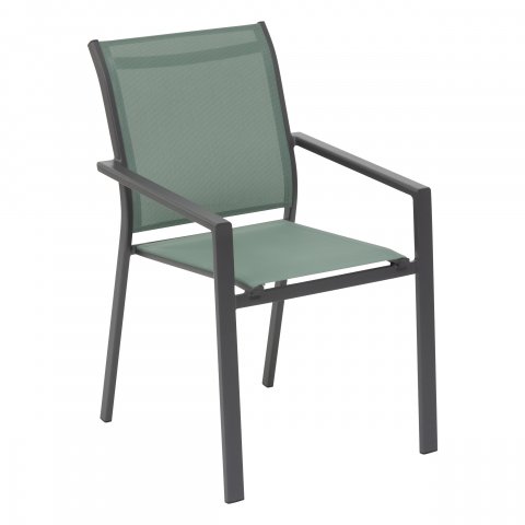 FAUT ESSENTIA OLIVE/GRAPH