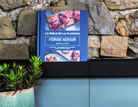 LIVRE LA BIBLE DE LA PLANCHA